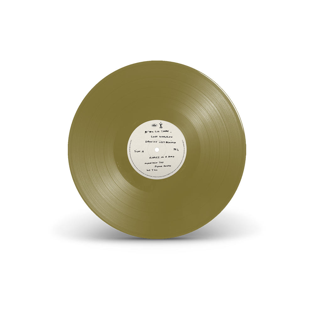 The Boys of Dungeon Lane (Barnes & Noble Excl.) Gold Vinyl + Photo Print Disc