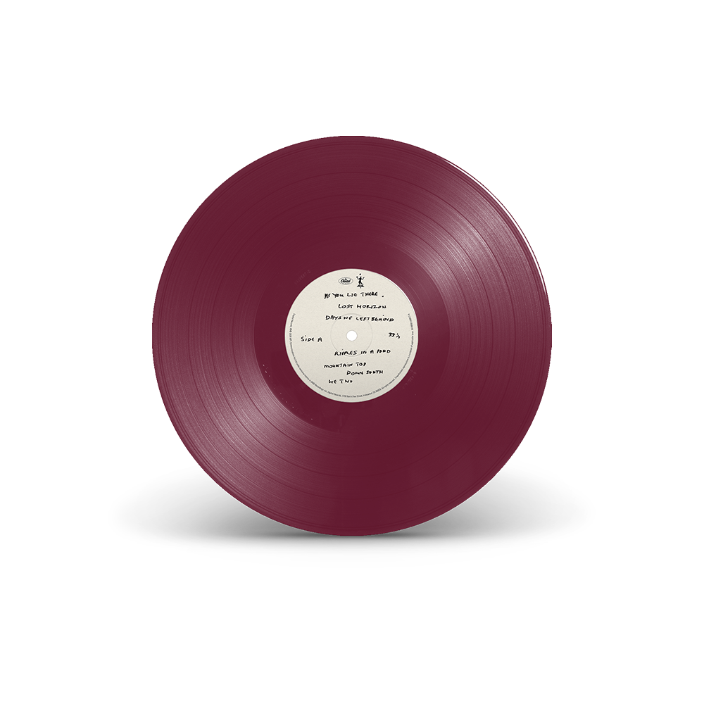 The Boys of Dungeon Lane (TalkShopLive Excl.) Purple Vinyl Disc