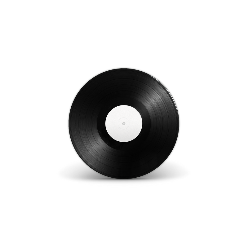 the-boys-of-dungeon-lane-third-man-records-white-label-lp-paul