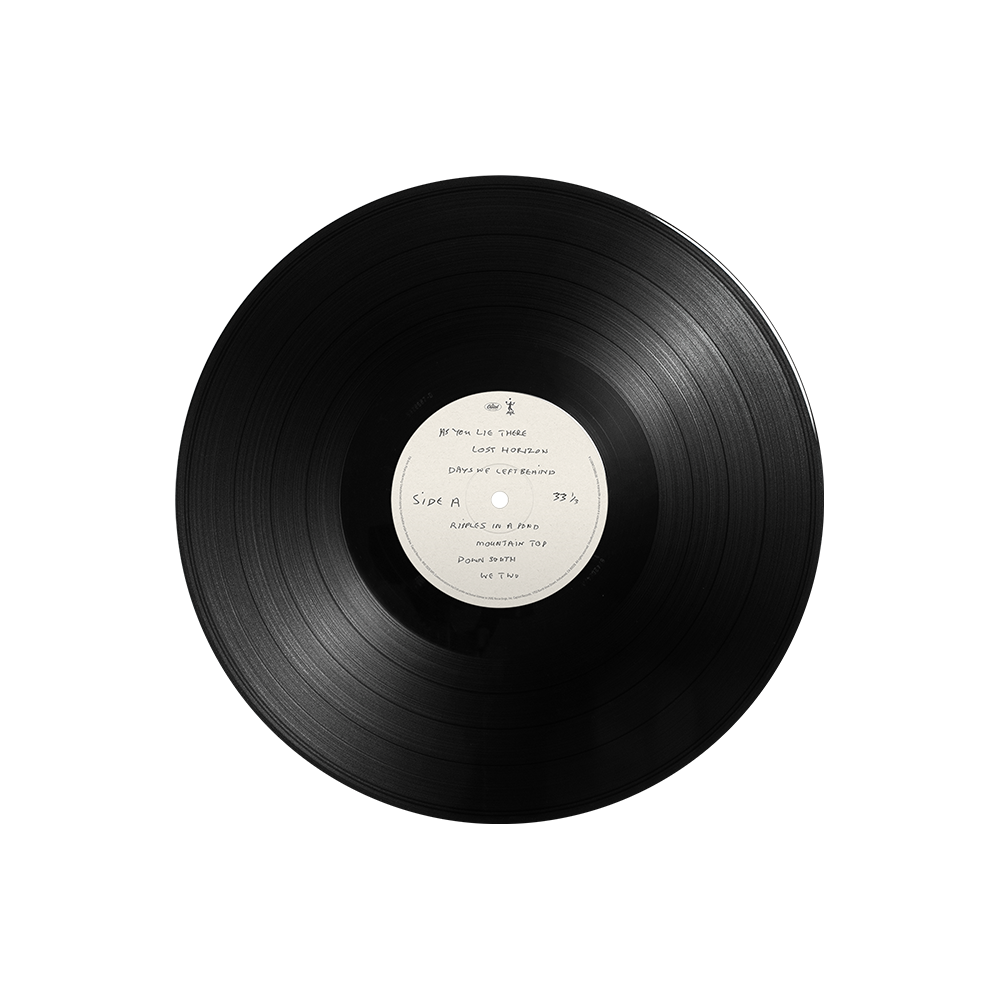 The Boys of Dungeon Lane - 180g Gatefold LP Disc